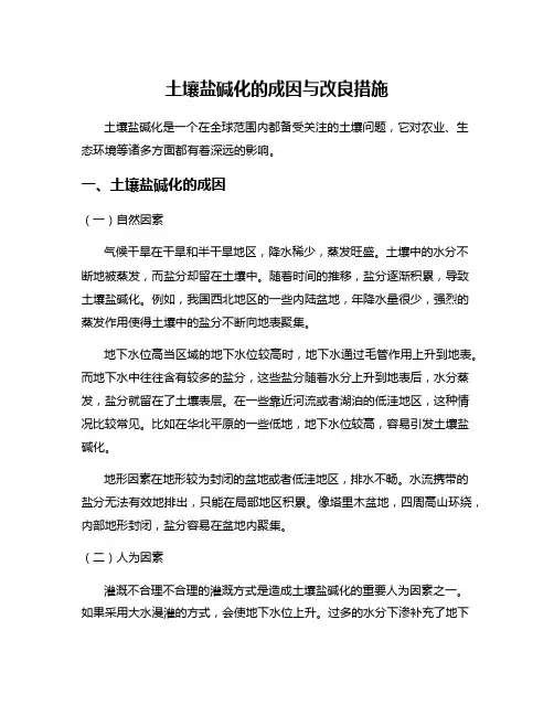 土壤盐碱化的成因与改良措施