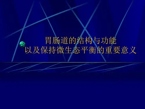 肠道的结构功能与微生态
