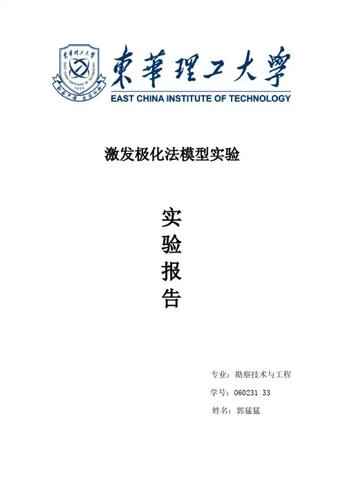 实验报告(激发极化法)