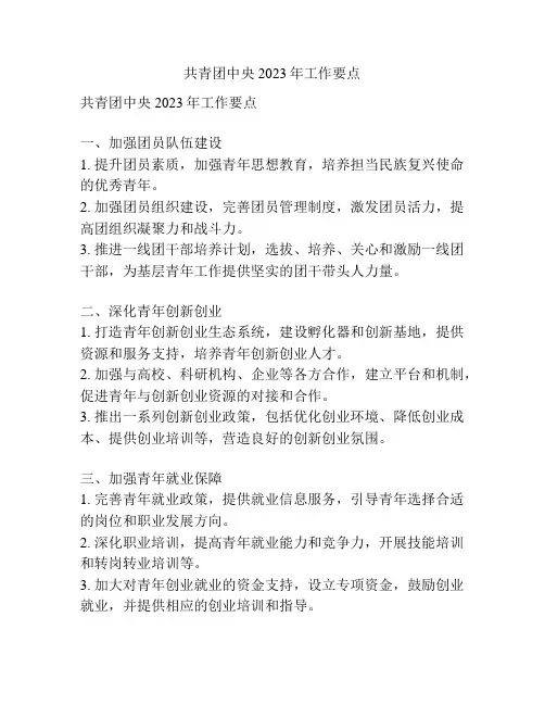 共青团中央2023年工作要点