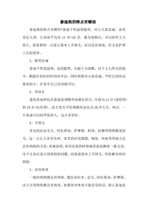 泰迪狗的特点有哪些