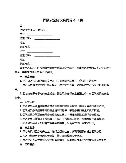 团队安全协议合同范本3篇
