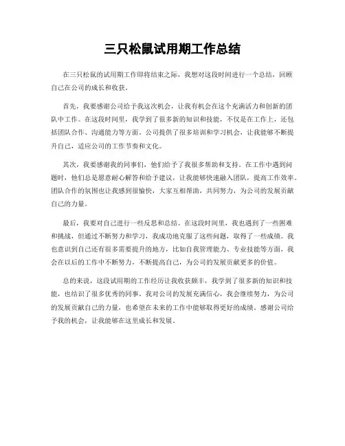 三只松鼠试用期工作总结