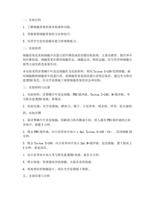 观察细胞骨架实验报告