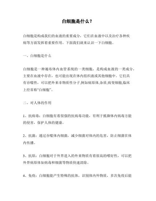 白细胞是什么？