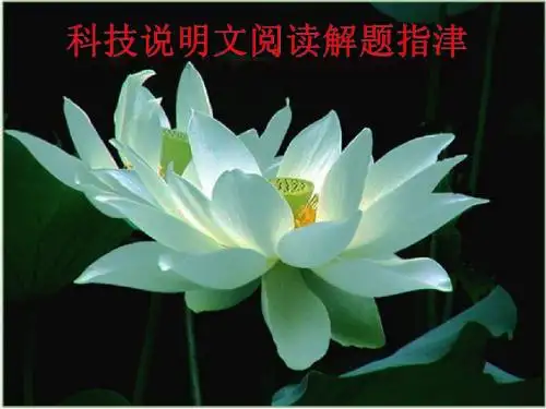 高考语文复习 科技说明文阅读解题指津 ppt