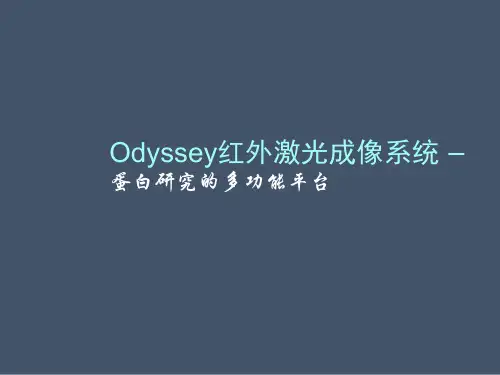 Odyssey红外激光成像系统 —蛋白研究的多功能平台[知识荟萃]