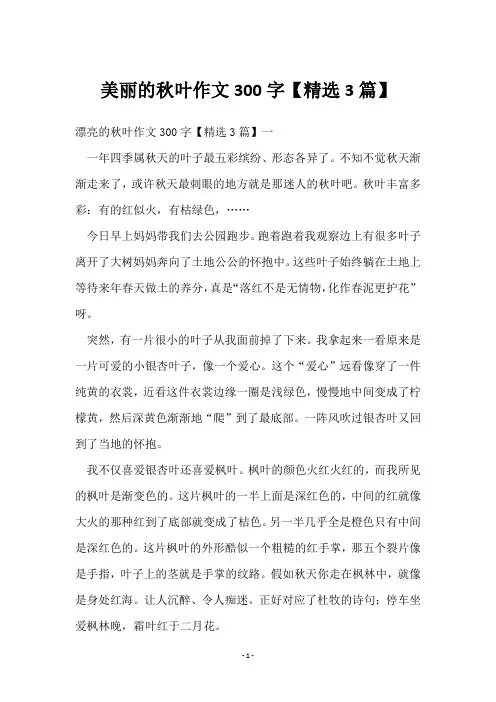 美丽的秋叶作文300字【3篇】