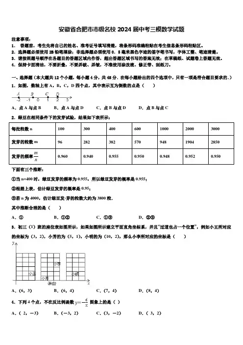 安徽省合肥市市级名校2024届中考三模数学试题含解析