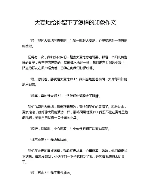大麦地给你留下了怎样的印象作文