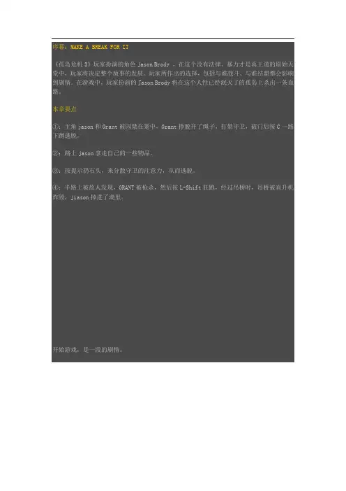 《孤岛惊魂3》图文游戏攻略