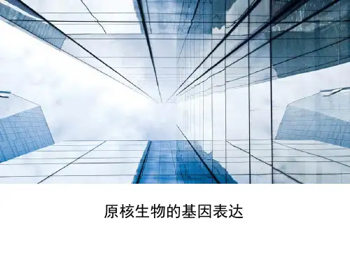 原核生物基因表达