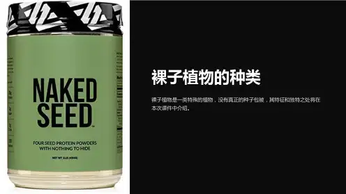 《裸子植物的种类》课件