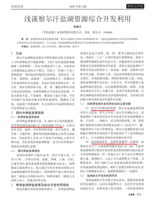 5-张继文-2009-浅谈察尔汗盐湖资源综合开发利用