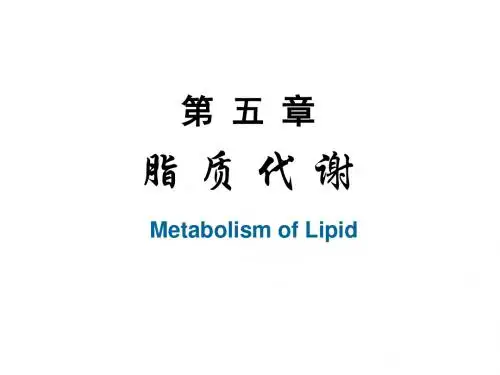 第五章  脂类代谢