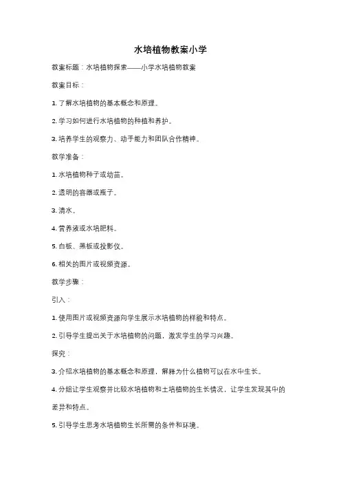 水培植物教案小学