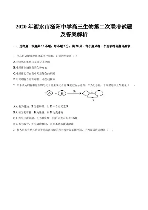 2020年衡水市滏阳中学高三生物第二次联考试题及答案解析
