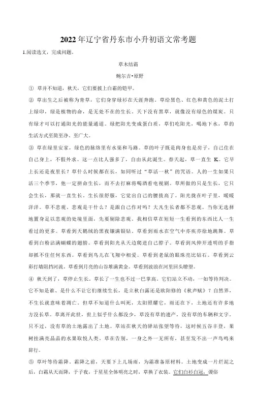 2022年辽宁省丹东市小升初语文常考题