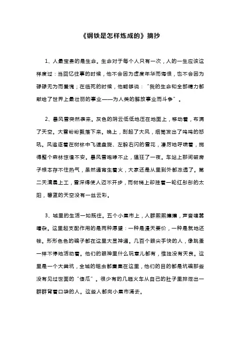钢铁是怎样炼成的,摘抄