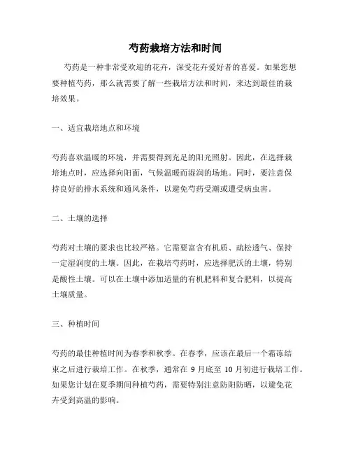 芍药栽培方法和时间