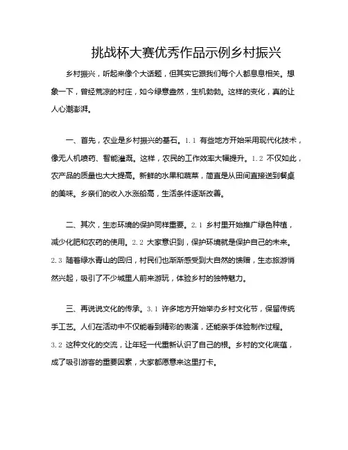 挑战杯大赛优秀作品示例乡村振兴