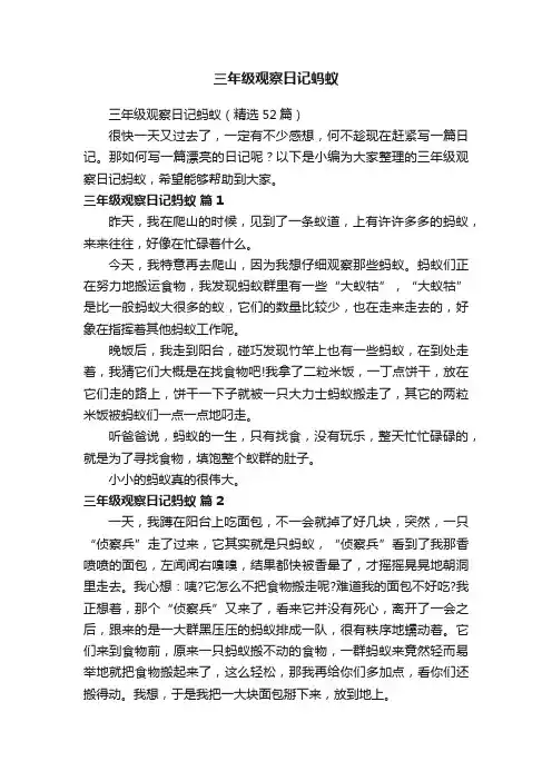 三年级观察日记蚂蚁