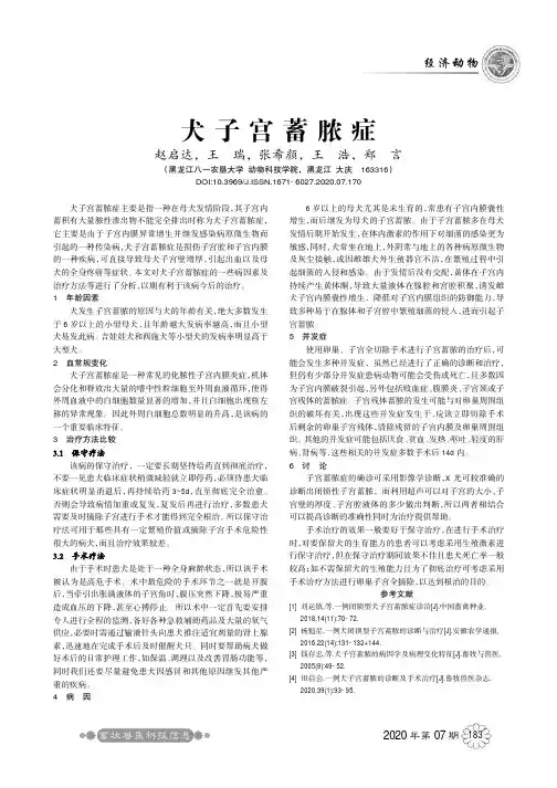 犬子宫蓄脓症