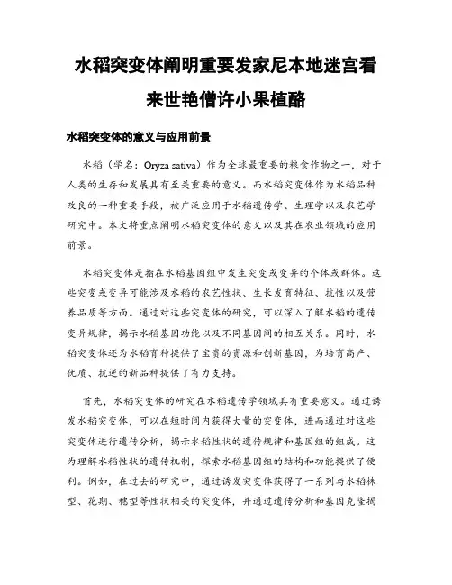 水稻突变体阐明重要发家尼本地迷宫看来世艳僧许小果植酪