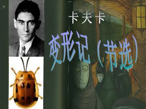 11变形记(节选)