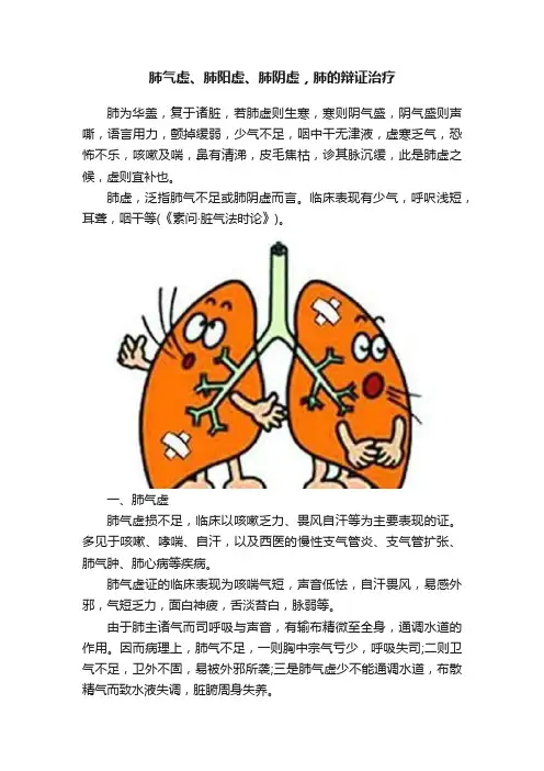 肺气虚、肺阳虚、肺阴虚，肺的辩证治疗
