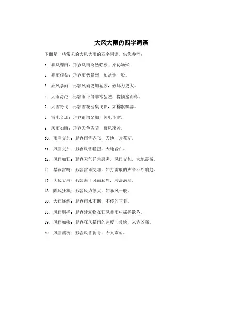 大风大雨的四字词语