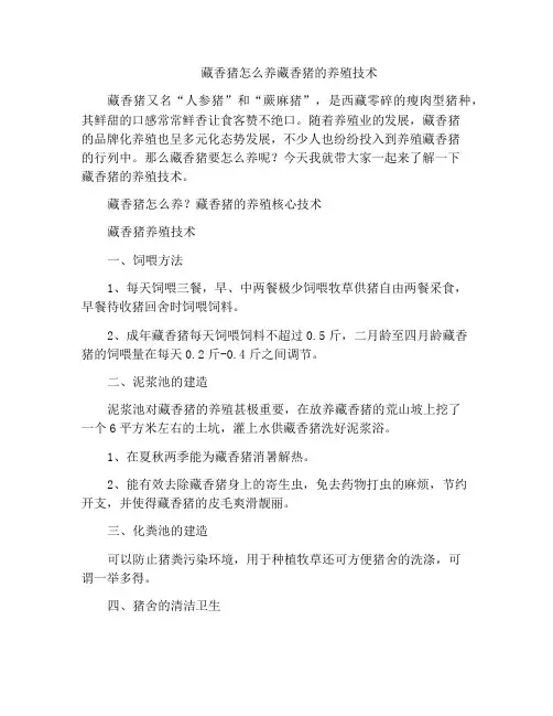 藏香猪怎么养藏香猪的养殖技术