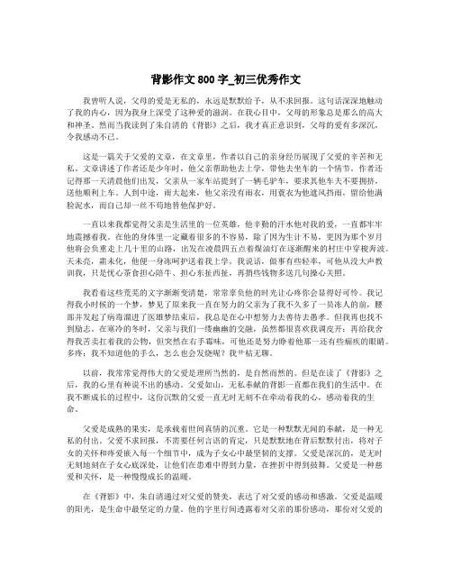 背影作文800字_初三优秀作文