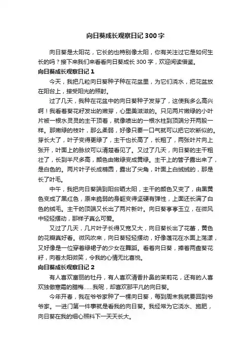 向日葵成长观察日记300字