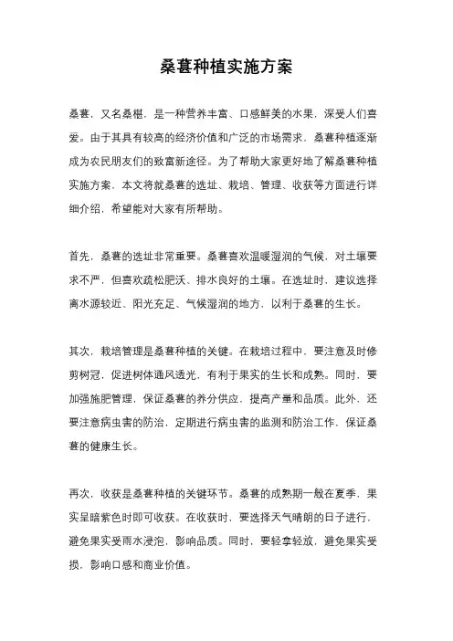 桑葚种植实施方案