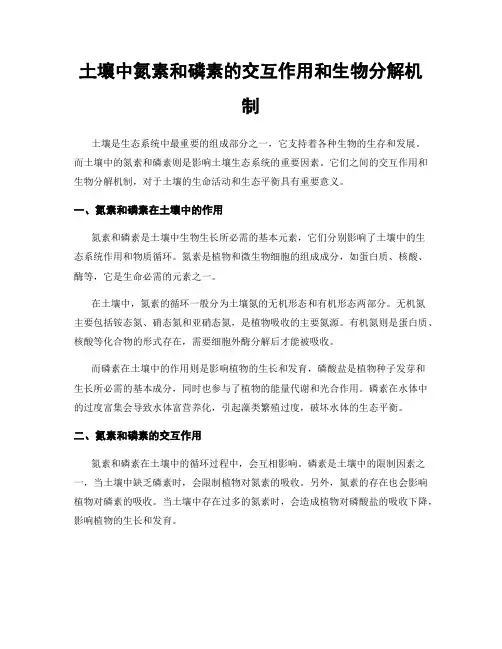 土壤中氮素和磷素的交互作用和生物分解机制