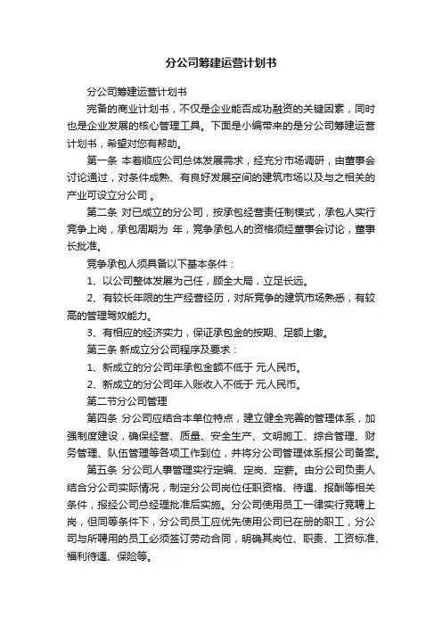 分公司筹建运营计划书