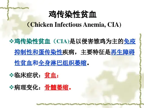 动物传染病学鸡传染性贫血