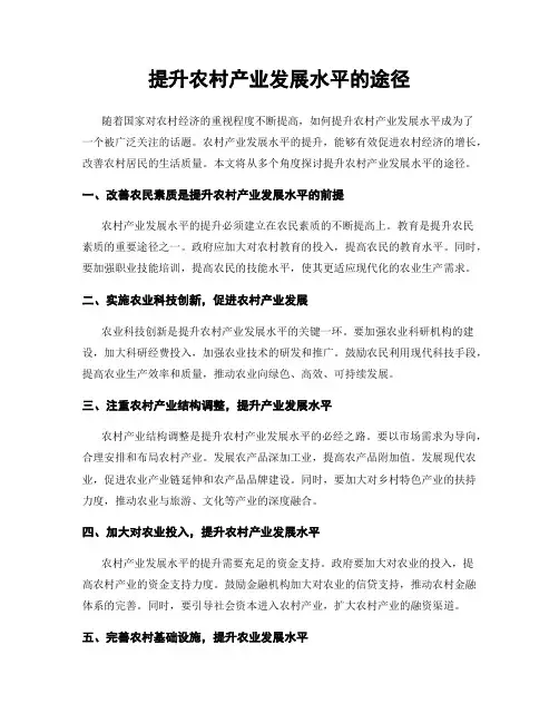 提升农村产业发展水平的途径