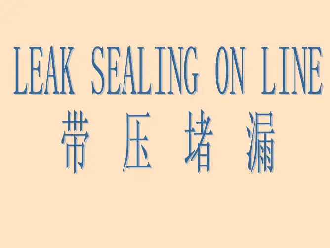 带压堵漏培训
