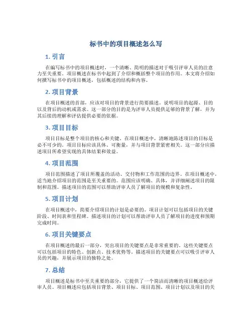 标书中的项目概述怎么写