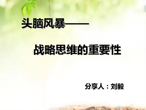 战略思维的重要性ppt课件