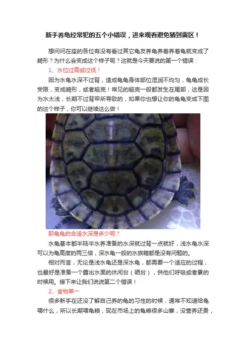 新手养龟经常犯的五个小错误，进来观看避免猜到雷区！