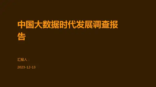 中国大数据时代发展调查报告