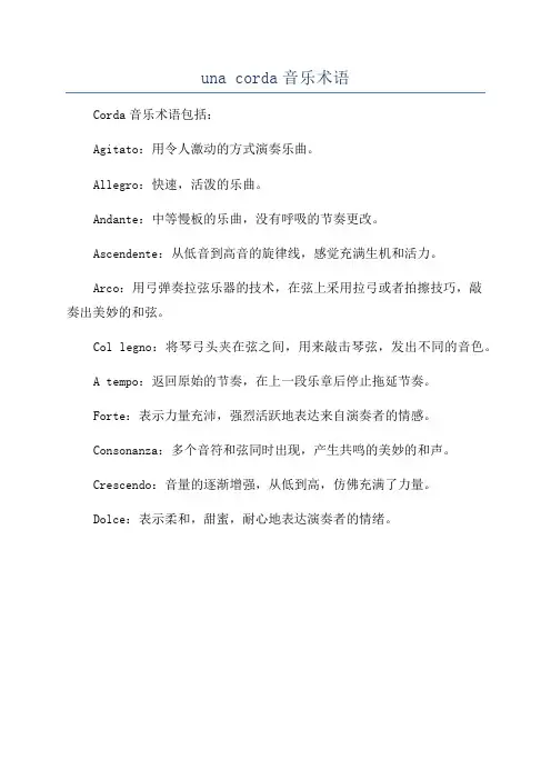 una corda音乐术语