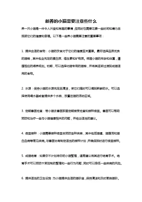 新养的小猫需要注意些什么