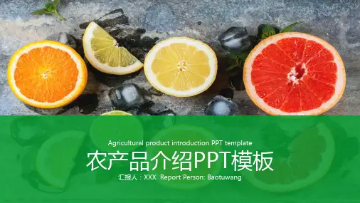 农业+蔬菜+农产品介绍+科技PPT模板