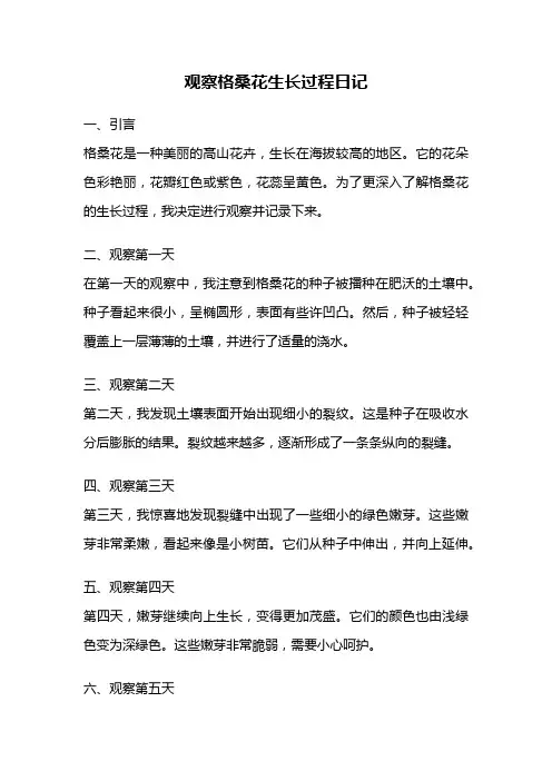 观察格桑花生长过程日记