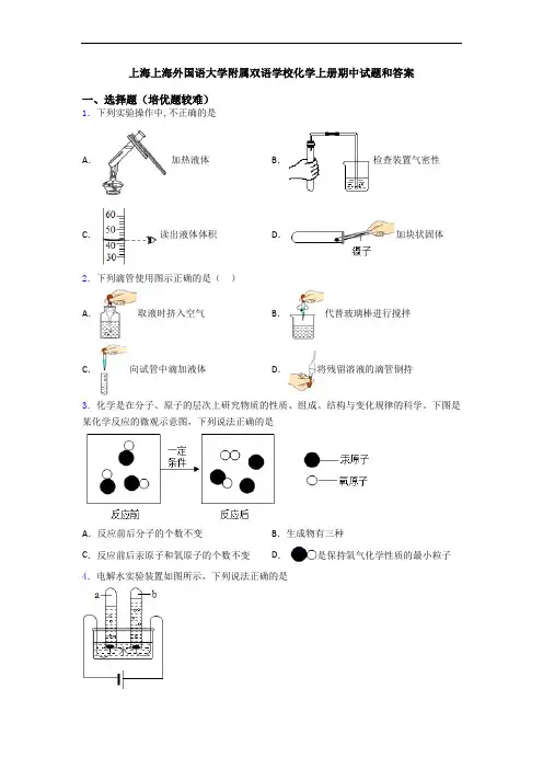 上海上海外国语大学附属双语学校初三化学上册期中试题和答案