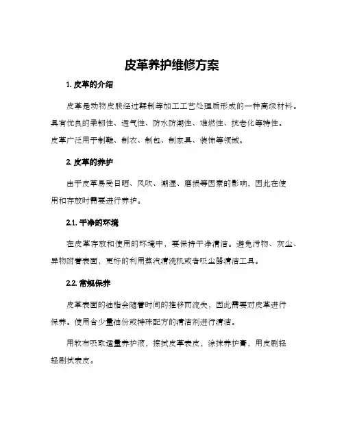 皮革养护维修方案